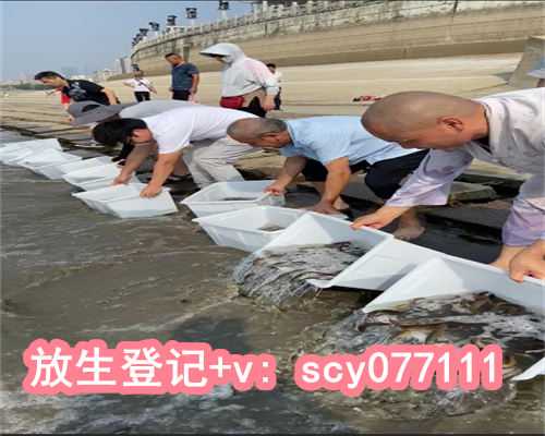 放生49种动物都放啥好，圆满放生：外来动物清道夫鱼放生3