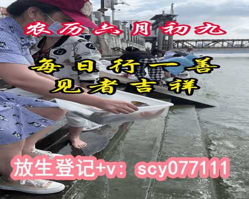 江里放生什么最好，夏季什么样的养生运动最好？