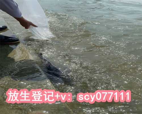 2023年放生哪一天好，请问2023年农历2月份哪天是结婚的黄道吉日