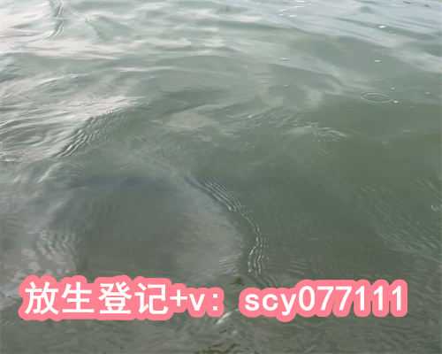 2023年最适合放生的日子是，适合结婚的好日子