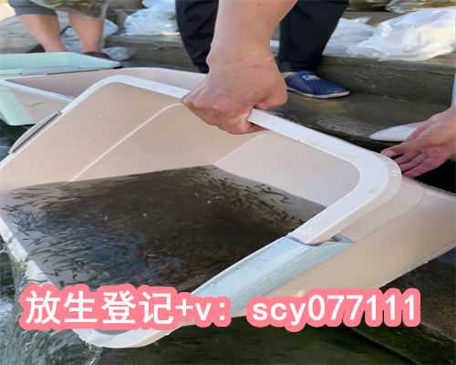 放生咒的功效与作用，甘蔗的功效与作用