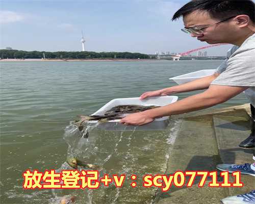 螃蟹应该放生在哪里，梦见吃螃蟹腿