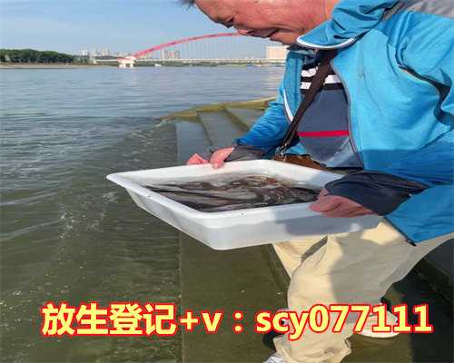 放生鱼都是什么鱼，鲤鱼放生是拜祭什么放生鲤鱼的好处