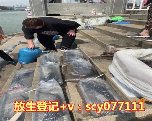 放生咒什么时候念最好，属虎最命苦出生日期是什么时候