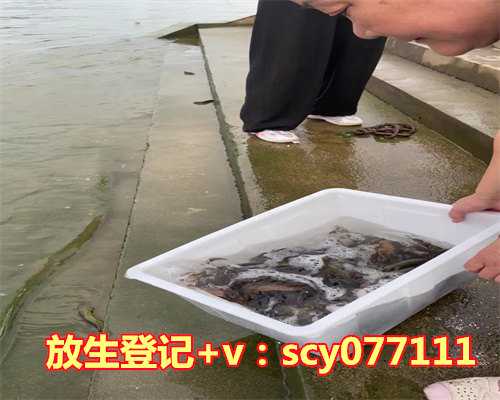 农历三月初三放生好吗，男属猴和女属鼠农历2023年7月22结婚是好日子吗