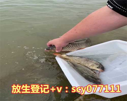 放生黑鱼有什么寓意，男人梦见自己抓了一条很大的鱼寓意是什么？