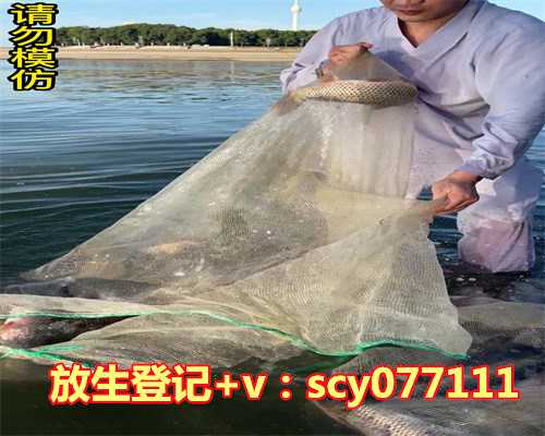 几月份放生最好呢，放生最好选择本地龟