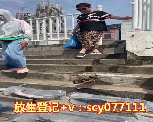 芦丁鸡适合放生吗，处女男和天秤女在一起合适吗？