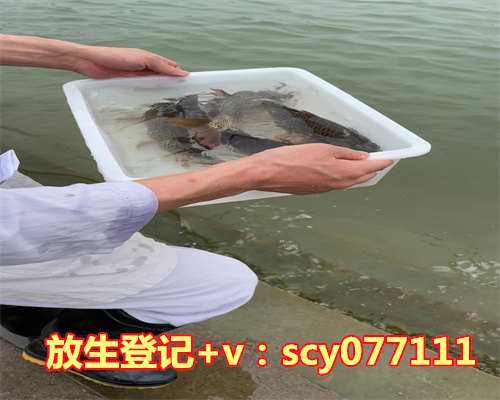 重庆小鱼去哪里放生，重庆一条河突变黑入江口死鱼连成片