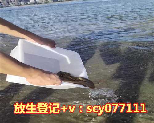 泥鳅可以放生江里吗，香道，真的可以养生吗？