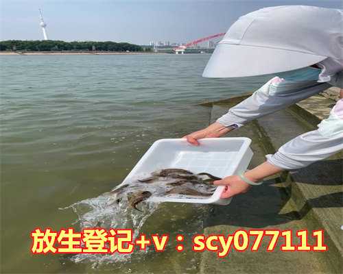 九月哪天放生最好呢，出生日期最好的日子不吉出生日是哪一天