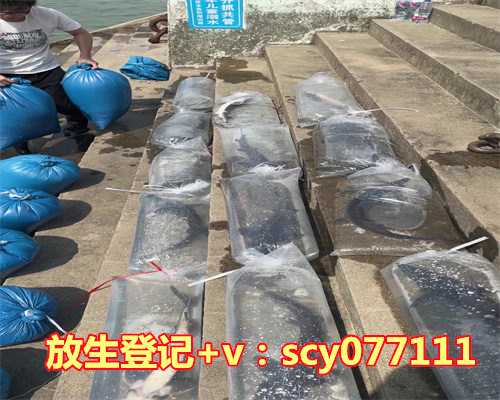 武汉哪里放生昆虫最好，湖北继续采取最严格的防控措施武汉严控人员输出