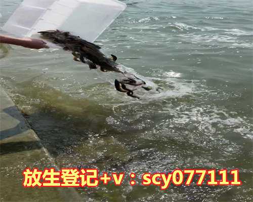 蟒山放生池，峨眉山——洗象池楹联