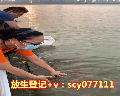 求子放生需要注意什么，鳝鱼放生时需要注意些什么？