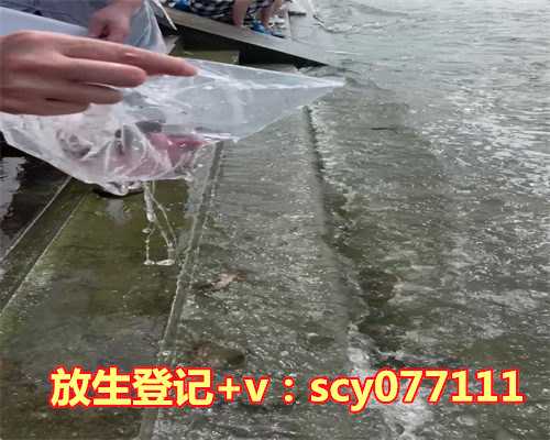 杭州放生园放生王八，杭州萧山一土豪花120万买大闸蟹到钱塘江放生