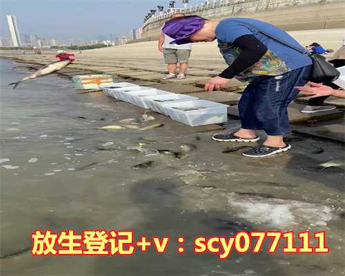 放生黄鳝有什么讲究，本命年生日有什么讲究