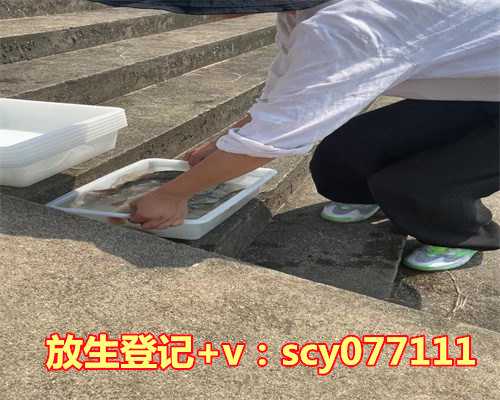 放生大闸蟹注意事项视频，水生动物的放生注意事项