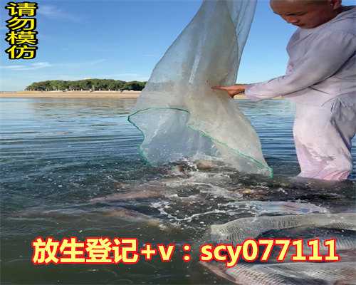 个人去放生应当怎么做准备，周公解梦梦见准备去磨玉米面的路上