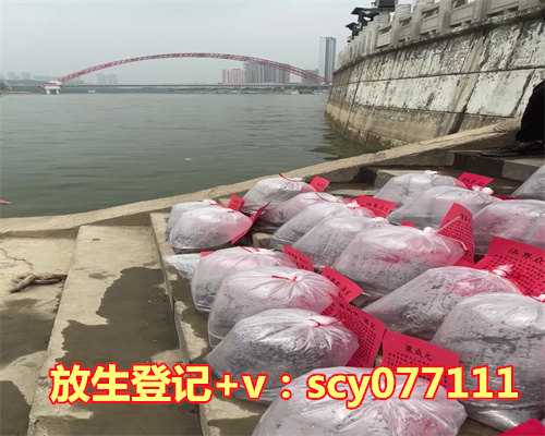 万年历老黄历放生，万年历吉日吉时查询时辰：万年历黄道吉日