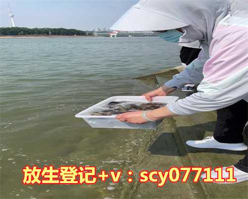 武汉哪里放生鸭子最安全，用剩米饭做早餐，快手简易版武汉豆皮