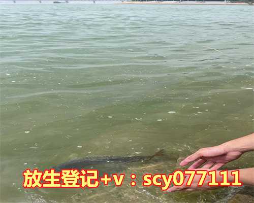 放生果报故事，戒杀放生故事