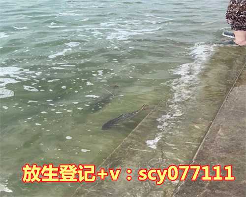 祈祷孩子考试成功放生什么，孩子成绩不好怎么办