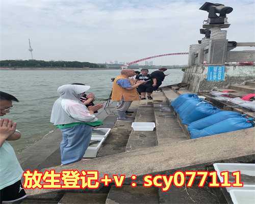 放生鱼怎么买鱼，梦见鱼放生后