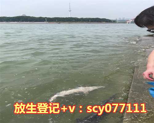 慈心放生网，慈心放生：黄雀报恩协破案