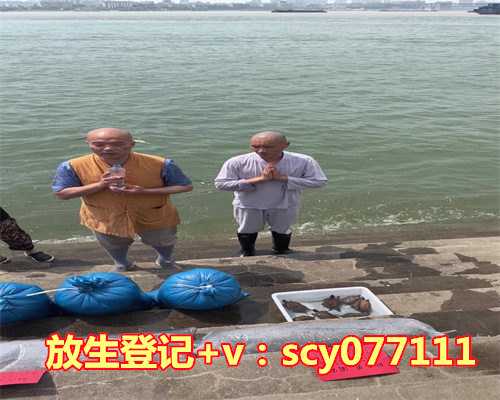 苏州哪里可以放生黄鳝，苏州豆腐干小美版