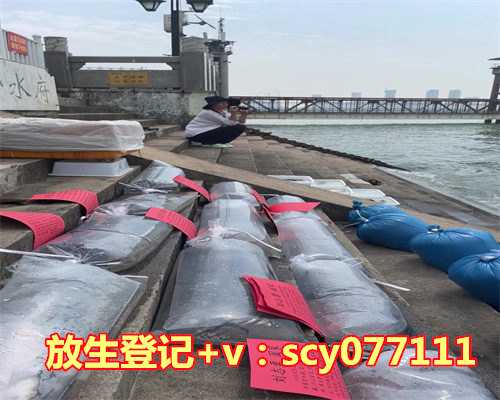 菜市场草鱼放生能活么，吴场镇举行放鱼活动5万尾放生金牛河