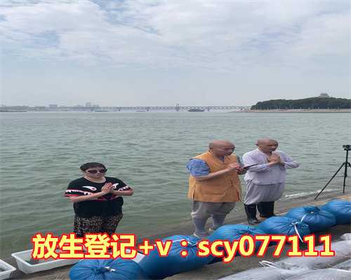 放生鱼时间选择，小和尚的选择