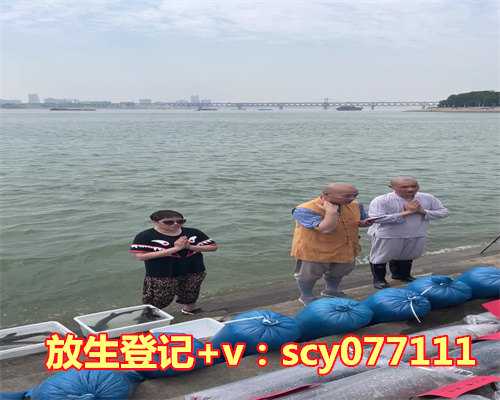 2023年适合放生的日子，2023年兔年不宜生子的属相