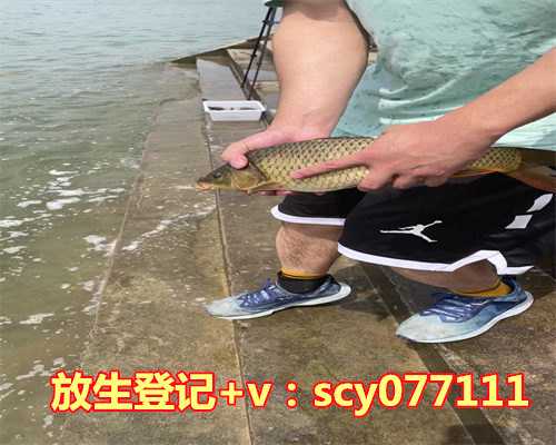 放生生鱼寓意什么生肖，什么鱼不能放生