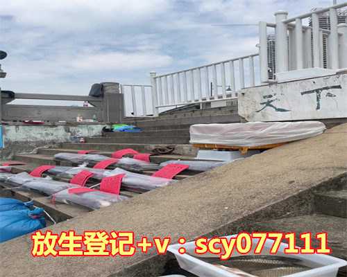 放生买来的小金鱼的意义，买蛇放生意识