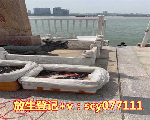 北京哪里可以放生乌龟鱼，老北京核桃月饼的做法