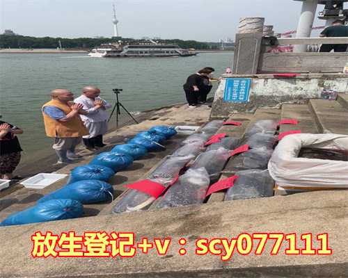 放生过了头的征兆，做梦吵架是什么征兆