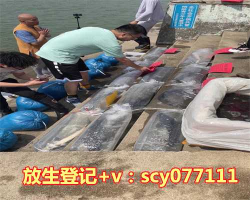 青岛青蛙去哪里放生，青岛圆融投资吃四张警示函发行私募基金只负责“贴牌”