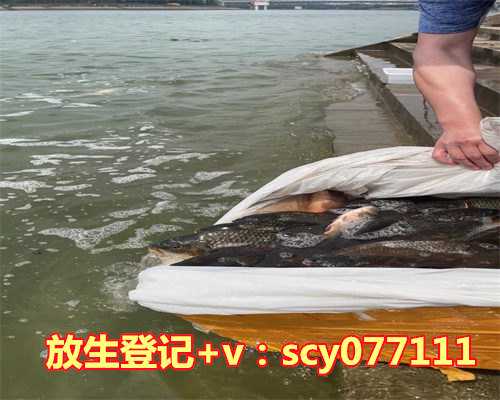 道教讲放生吗，【放生护生】知道驴肉是这样来的你还咽得下去吗？