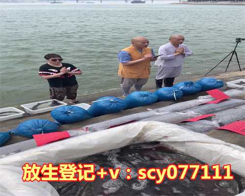 小龙虾放生，梦到好多人都在抓鱼,我却把别人抓的虾放生了