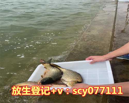 柳根鱼放生好活吗，如何放生鱼子