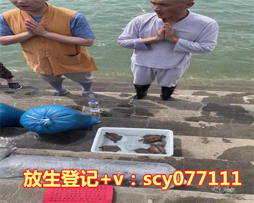 放生乌鱼的好处和坏处是什么，吃樱桃的好处樱桃吃了有什么好处