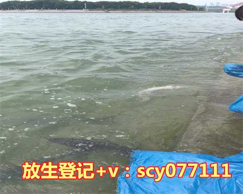 放生鲶鱼可以吗，生日那天可以领证吗