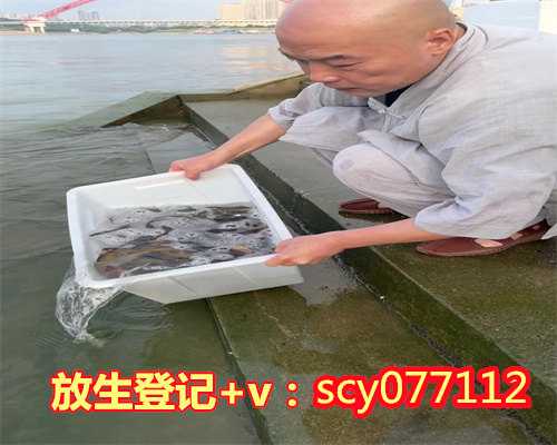 南京哪里可以放生黑鱼，墨西哥国家众议员考察南京牛首山