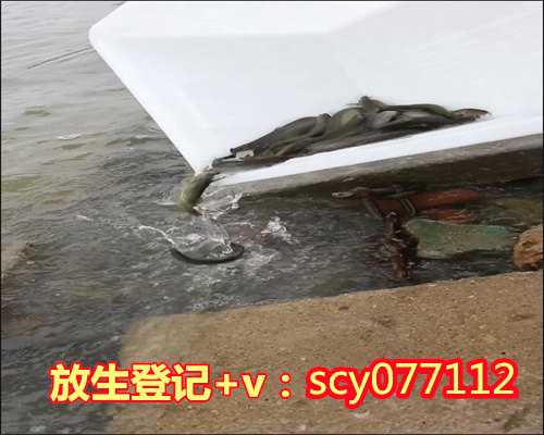 世界上最好的放生是放过自己,世界上最殊胜的放生群