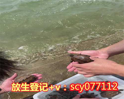 放生什么鱼最好,一般放几条,个人放生不能超过几点