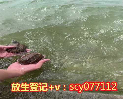 冬季适合放生吗，冬季适当增加锻炼