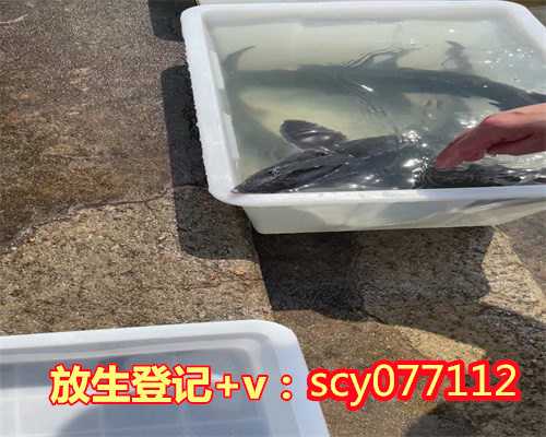 北京何地可以放生甲鱼，北京新增8例，详情公布