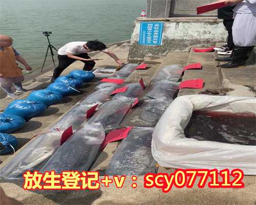 为逝去的亲人放生作用,为逝去的亲人放生怎么回向