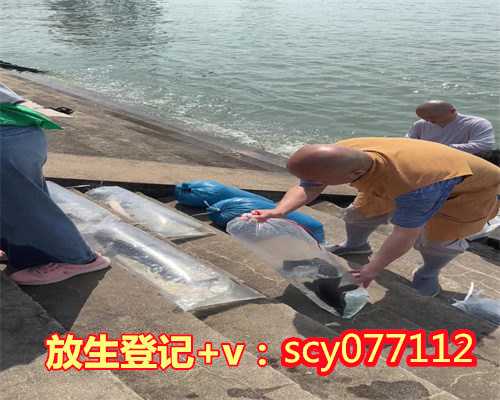 为逝者放生要说些什么祝福语,为逝者放生要说些什么