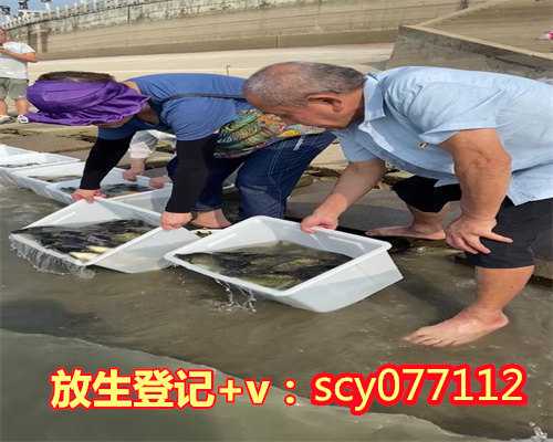 人工流产后能放节育环吗，做人流后可以放生吗